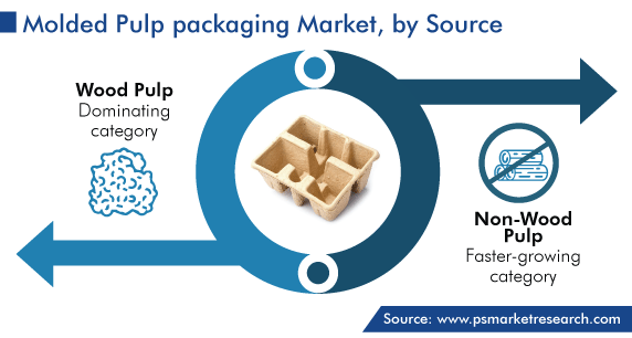Global Molded Pulp Packaging Market, by Source
