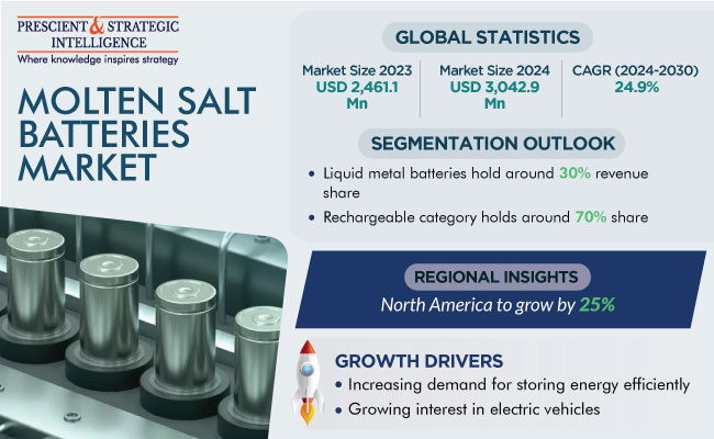 Molten Salt Batteries Market Insights Report