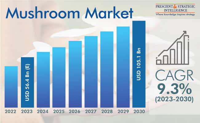 Mushroom Market Insights