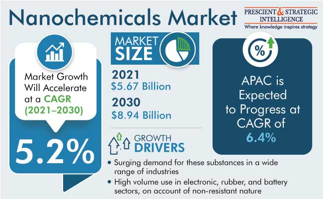 Nanochemicals Market Size