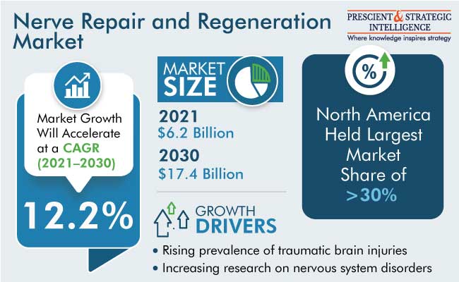 Nerve Repair and Regeneration Market Insights