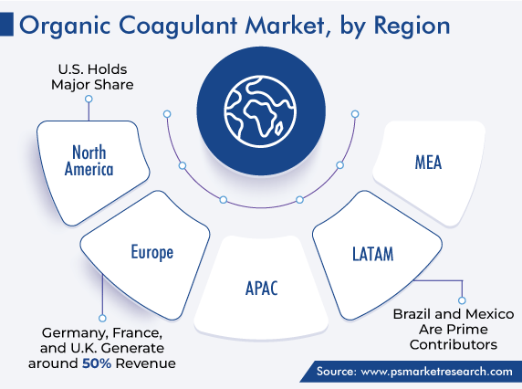 Organic Coagulant Market, by Region
