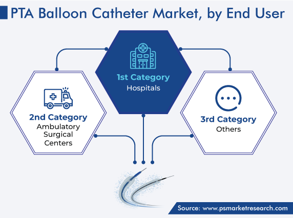 Global PTA Balloon Catheter Market, by End User