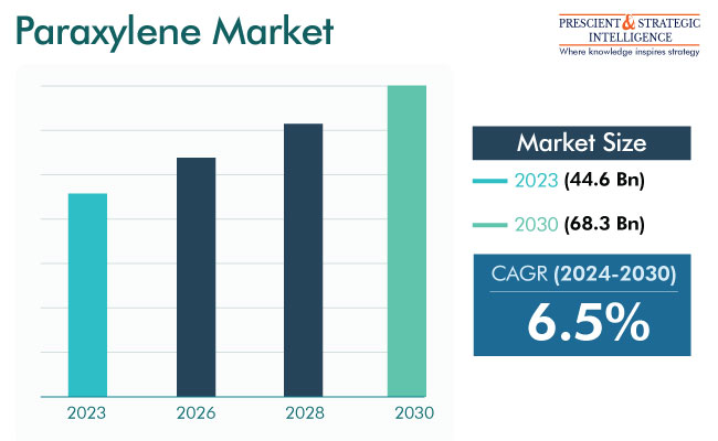 Paraxylene Market Growth Insights