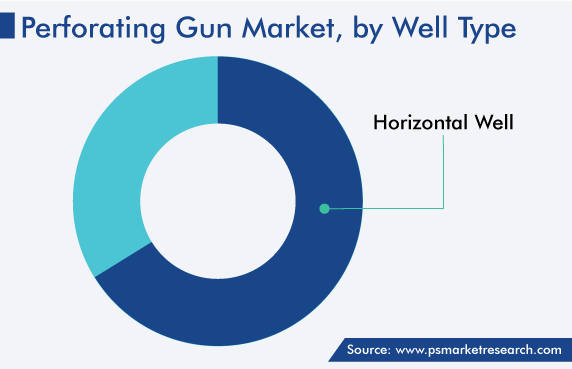 Perforating Gun Market by Well Type Share