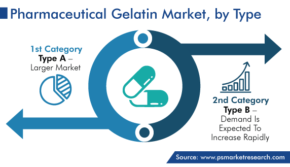 Pharmaceutical Gelatin Market Analysis by Type