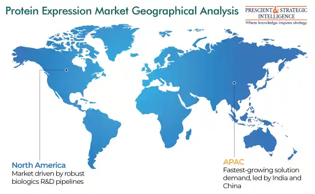 Protein Expression Market Geographical Analysis
