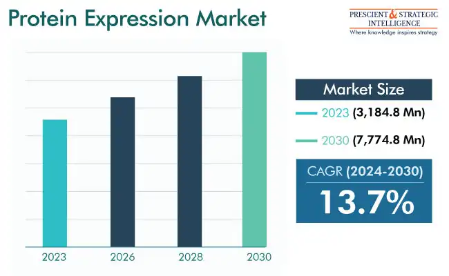 Protein Expression Market Growth Insights