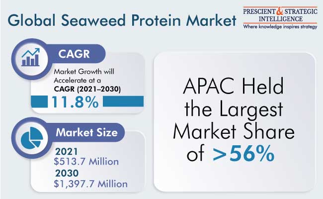 Seaweed Protein Market Outlook
