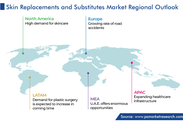 Skin Replacements and Substitutes Market Geographical Analysis