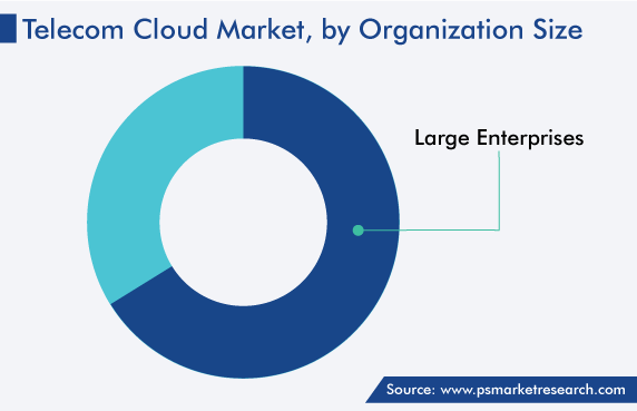 Telecom Cloud Market Share Analysis by Organization Size