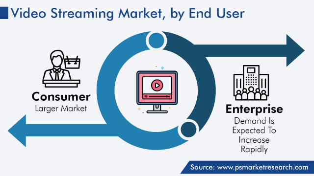 Global Video Streaming Market by End User