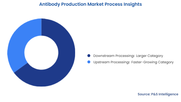 Antibody Production Market Segmentation Analysis