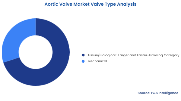 Aortic Valve Market Segmentation Analysis
