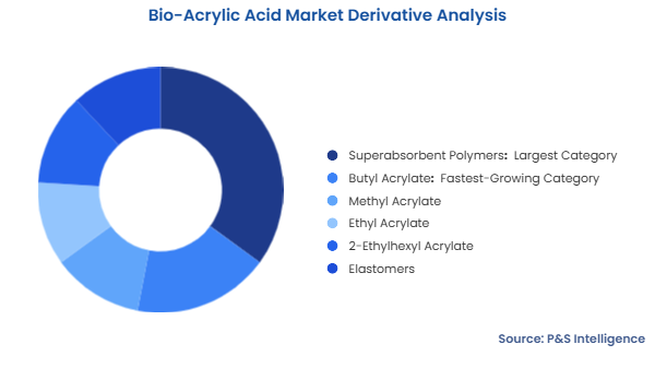 Bio-Acrylic Acid Market Segmentation Analysis