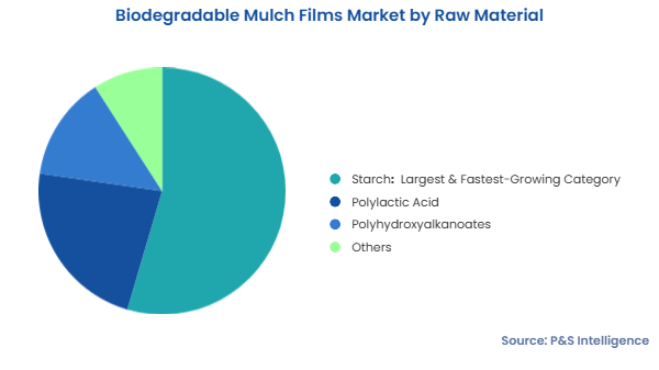 Biodegradable Mulch Films Market Segmentation Analysis
