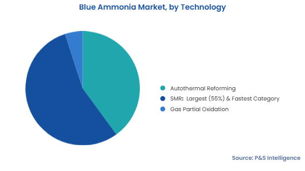 Blue Ammonia Market Segments