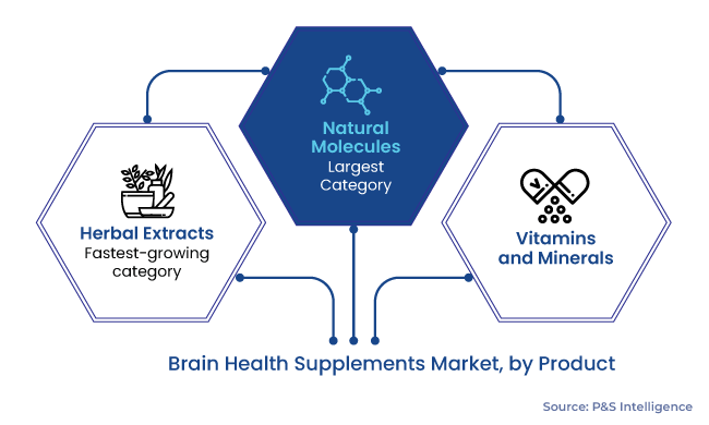 Brain Health Supplements Market Segmentation Analysis
