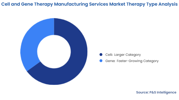Cell and Gene Therapy Manufacturing Services Market Segmentation Analysis