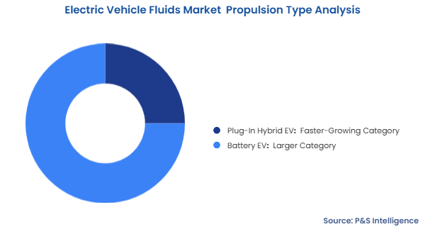 Electric Vehicle Fluids Market Segmentation Analysis