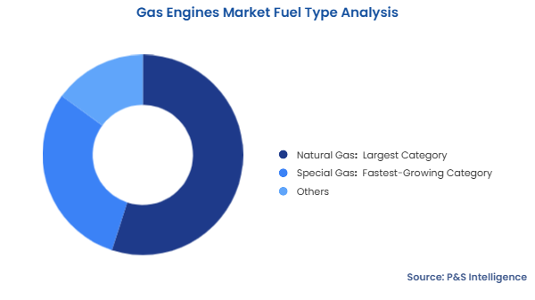Gas Engines Market Segmentation Analysis