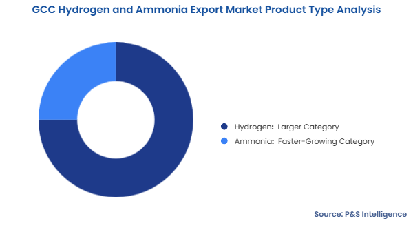 GCC Hydrogen and Ammonia Export Market Segmentation Analysis