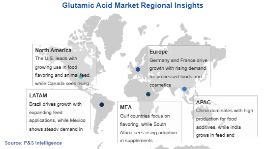 Glutamic Acid Market Geographical Analysis