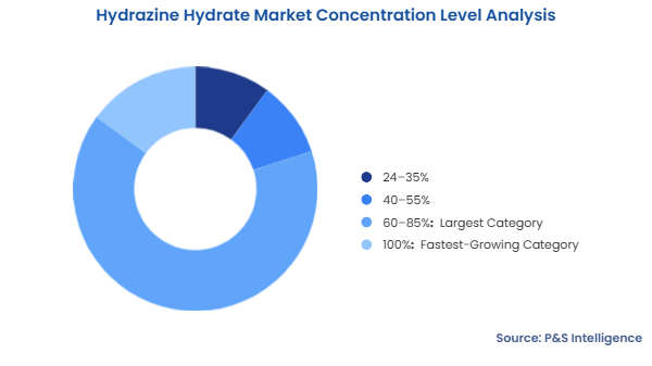 Hydrazine Hydrate Market Segmentation Analysis
