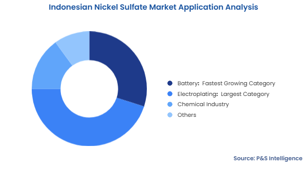 Indonesian Nickel Sulfate Market Segmentation Analysis