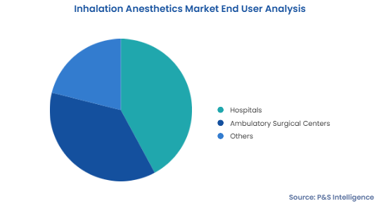 Inhalation Anesthetics Market Segmentation Analysis
