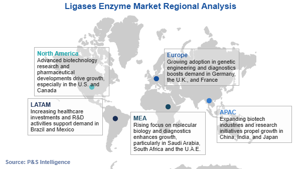 Ligases Enzyme Market Regional Analysis