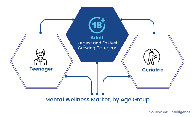 Mental Wellness Market Segmentation Analysis