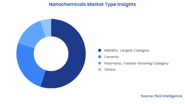 Nanochemicals Market Segmentation Analysis