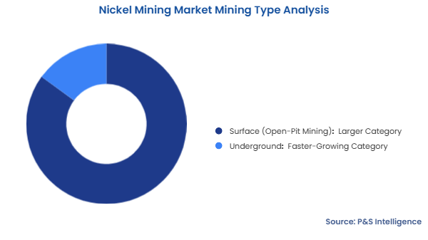 Nickel Mining Market Segmentation Analysis