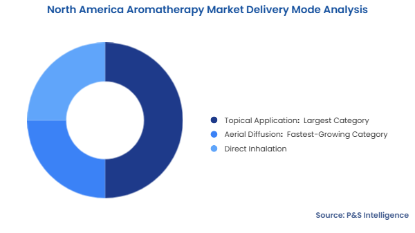 North America Aromatherapy Market Segmentation Analysis North America Aromatherapy Market Segmentation Analysis
