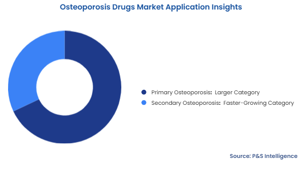 Osteoporosis Drugs Market Segmentation Analysis