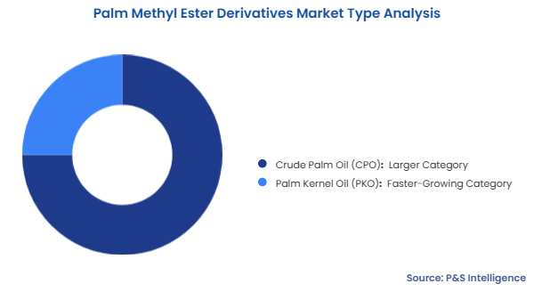 Palm Methyl Ester Derivatives Market Segmentation Analysis
