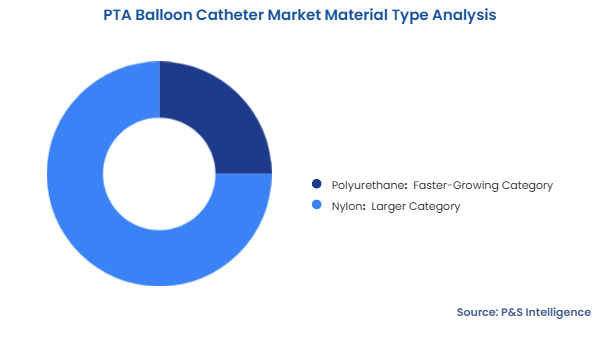 PTA Balloon Catheter Market Segmentation Analysis