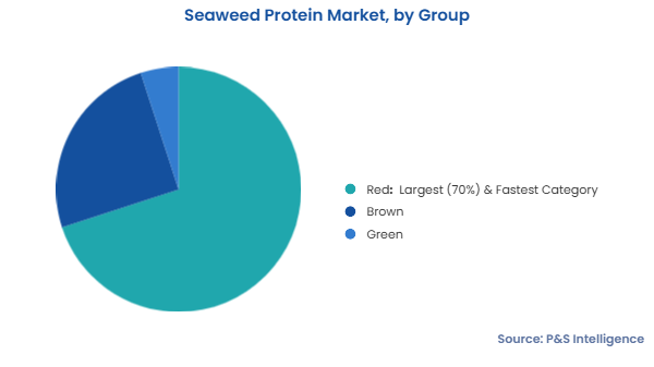 Seaweed Protein Market Segmentation Analysis