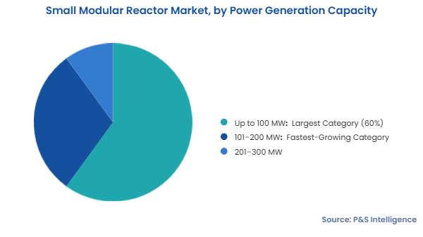Small Modular Reactor Market Segmentation Analysis