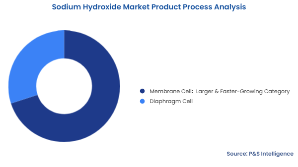 Sodium Hydroxide Market Segmentation Analysis