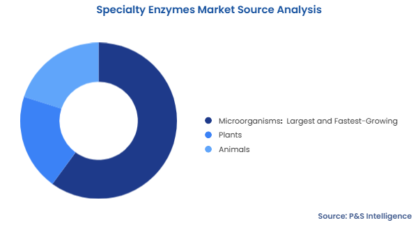 Specialty Enzymes Market Segmentation Analysis