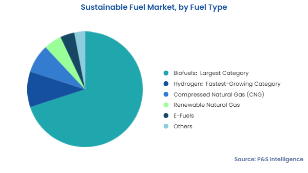 Sustainable Fuel Market Segments