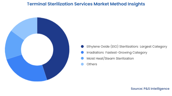 Terminal Sterilization Services Market Segmentation Analysis