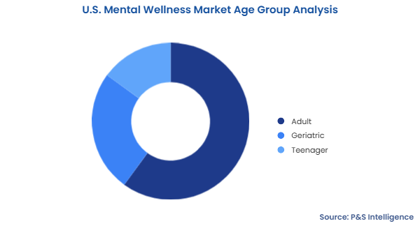 U.S. Mental Wellness Market Segmentation Analysis