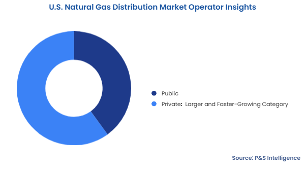 U.S. Natural Gas Distribution Market Segmentation Analysis