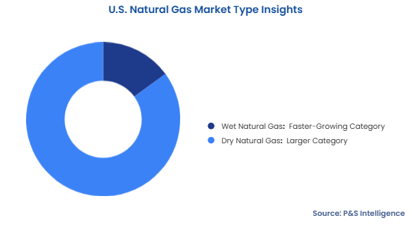 U.S. Natural Gas Market Segmentation Analysis