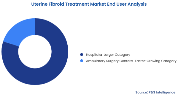Uterine Fibroid Treatment Market Segmentation Analysis