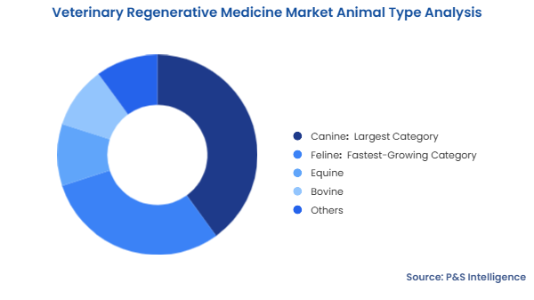 Veterinary Regenerative Medicine Market Segmentation Analysis