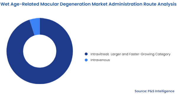 Wet Age-Related Macular Degeneration Market Segmentation Analysis